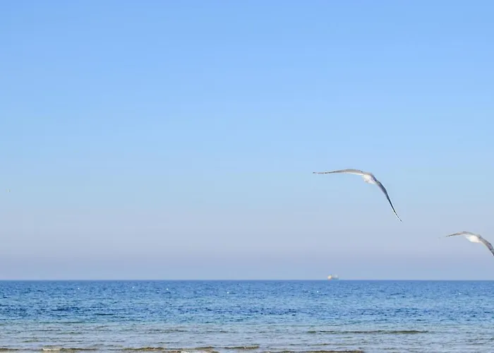 Apartman Gorgeous In *